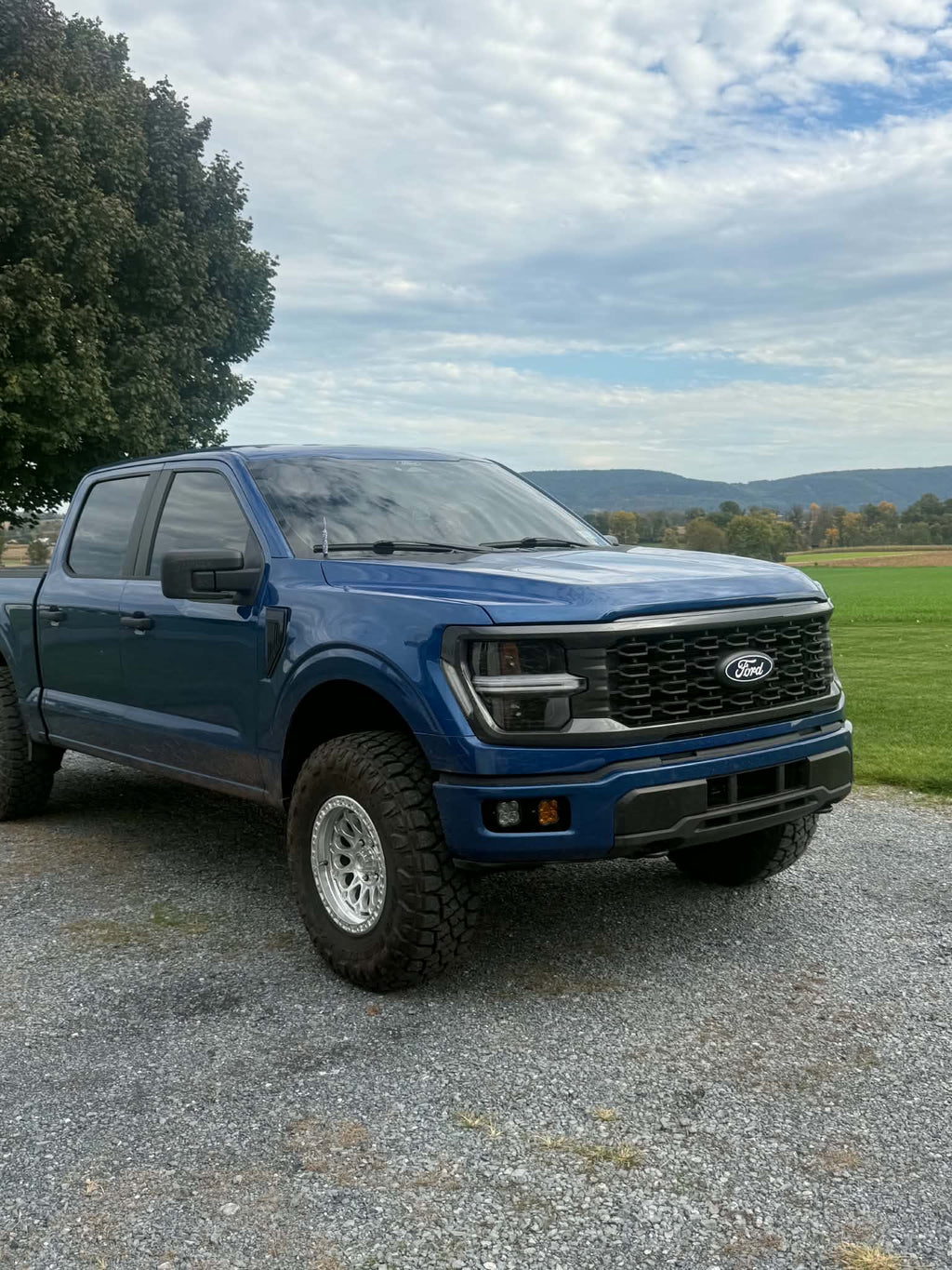 24+ F150 Diode Dynamics Dual Fog Kit